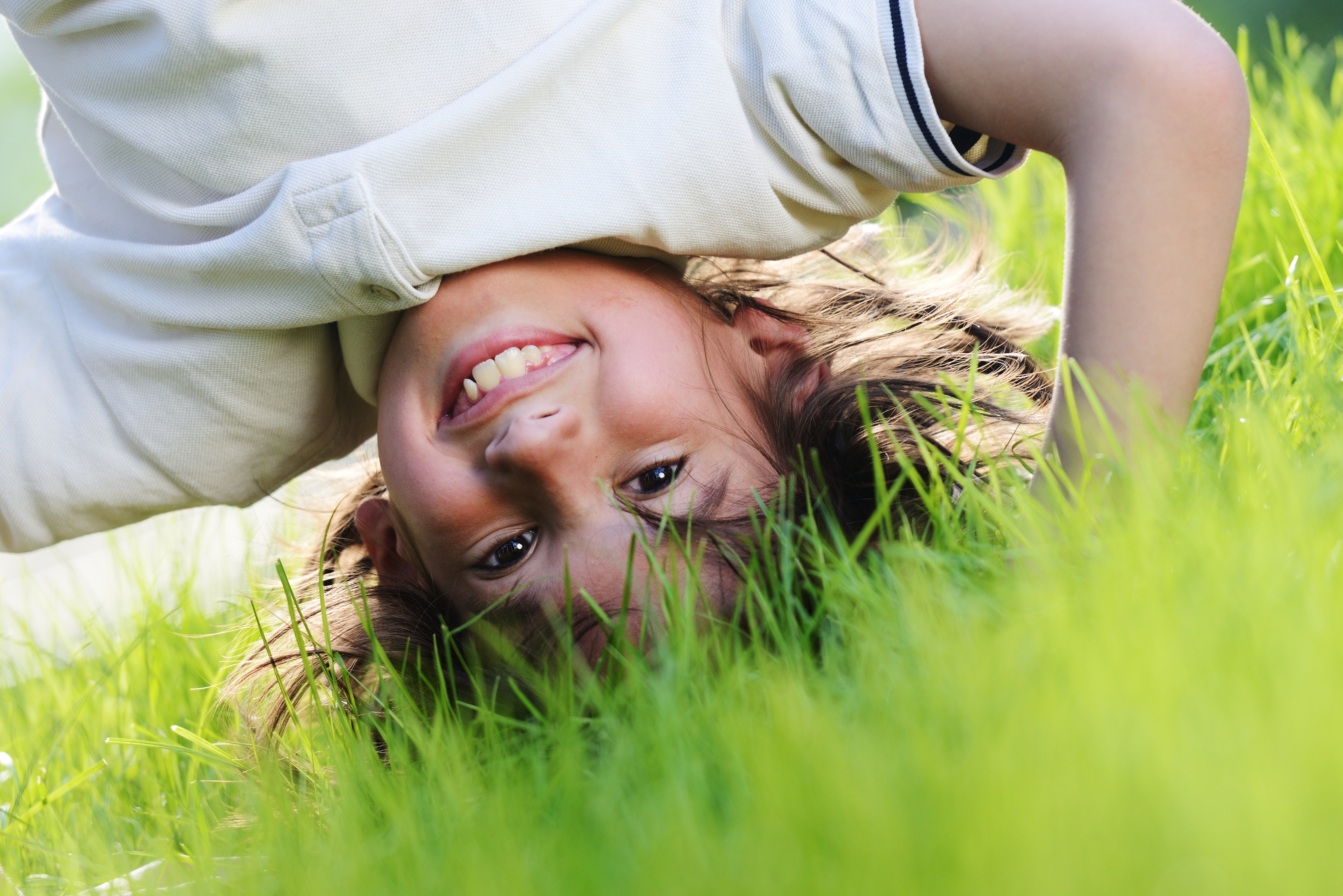 shutterstock_139166480